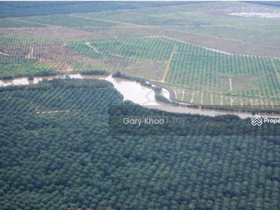 Johor Batu Anam 160 acre Agriculture Land With River Fully Oil Palm