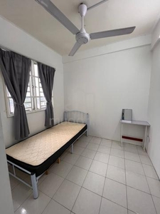 Single room-Apartment Casa Prima (female only)
