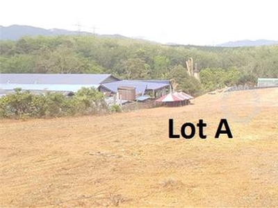 12 acres agriculture land Rantau : Can convert to Industrial title