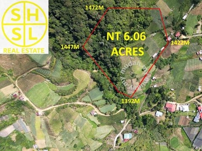 Kundasan Land ✅ 6.06 acres ✅ Agriculture Lot ✅ MTKK ✅ Ranau