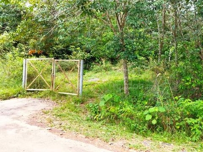 11 Acres Agriculture Land Durian Tunggal near Alor Gajah Ayer Keroh