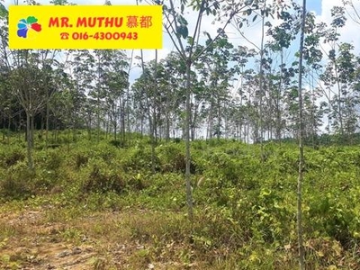 4 ACRES FREEHOLD AGRICULTURAL LAND FOR SALE 永久业权农业用地 - Sungkai, Perak
