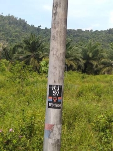 5.5 Ekar Tanah Kosong Parit Laman Sri Medan Batu Pahat Johor