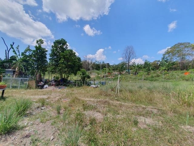 FREEHOLD 4.1 acre Land