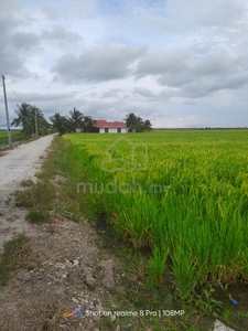 Tanah sawah padi geran milikan kekal Parit 8 Sekinchan untuk di jual