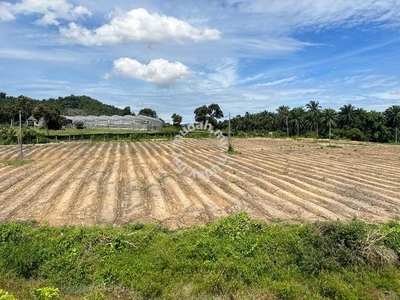 4.5 Acres Agricultural Land Sungai Tangkas, Bandar Baru Bangi, Kajang