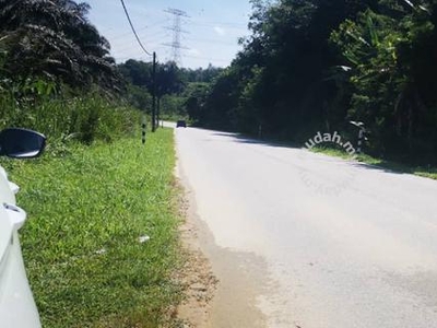 Tanah Elok Tepi Jalan Utaman RELAU, Bandar Baru,Kedah‼️‼️