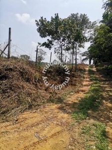 7 Acres 3km from Main Road