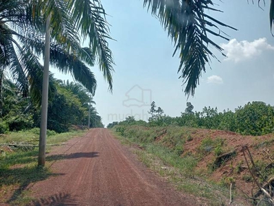 Durian tunggal, freehold agriculture bare land 17.02 acres for sale