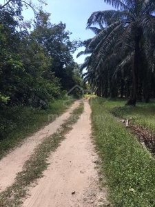 Main Road! Kedah Semeling Agriculture Land for sale