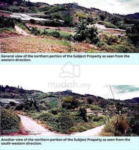 NT Land 8.22 acres for Sale | Kundasang, Ranau