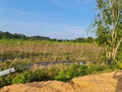 Tanah di Kampung Tepoh, Kuala Nerus