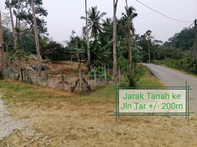 Tanah Getah 4.0 Ekar di KG Seginyeh Inas( FREEHOLD + Murah2)