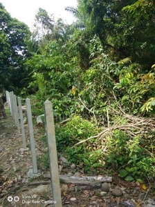 Tanah Gong Halt Mukim Jenderak Temerloh Pahang