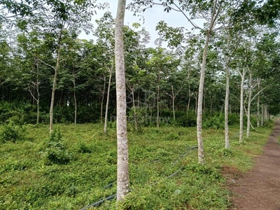 Tanah Kebun Getah, Padang Telela, Mukim Kurong Anai, Perlis