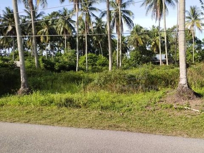 Tanah Potensi Pembangunan, Kg Raja, Besut Terengganu