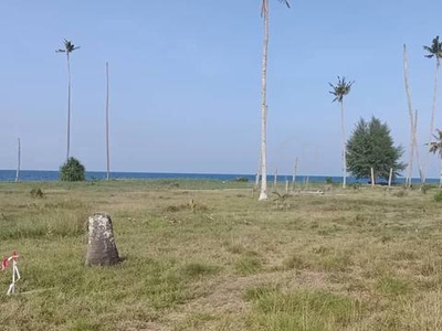Tanah Premium Tepi Pantai Rhu Muda Marang, View Pulau Kapas