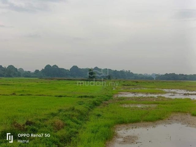 Tanah Sawah Padi Padang Tengir Manir Kuala Terengganu