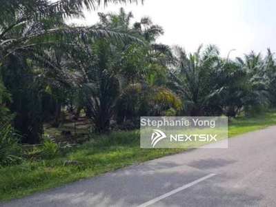 Telok Panglima Garang @ Converted Land For Sell