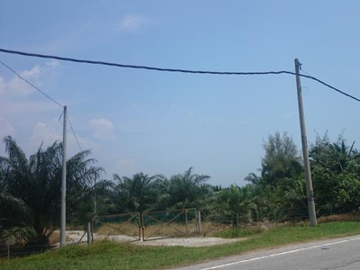Agricultural Land for sale in Banting