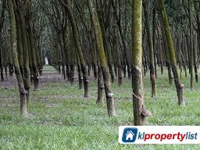 Agricultural Land for sale in Pendang
