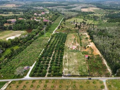 Tanah Pertanian 7 suku (1/4) Ekar NON BUMI lot Free Hold Melaka (Nego)