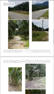 Baling land for sale