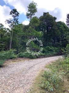 Pahang Jerantut Hulu Tembeling 10200 acres Empty Land for SALE