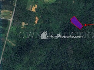 Agriculture Land For Auction at Lenggong