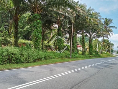 101.191 Acres Main Road Frontage Vacant Land for sale in Kampar, Perak