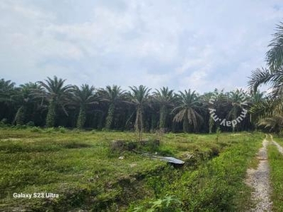 2.58744 acres vacant land at Bidor, Perak