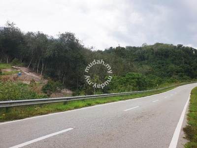 3.152 Acre Road Frontage Rubber Trees Land for sale in Lenggong, Perak