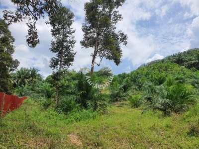 4.109 Acres Oil Palm Land for sale in Sungai Siput, Perak