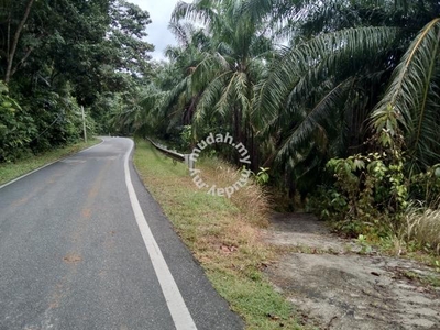 9.108 Acre Road Frontage Oil Palm Land for sale in Sungai Siput, Perak