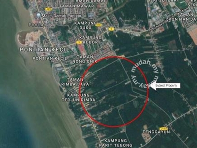Agricultural land zoned for residential Rimba Terjun 5km from Pontian