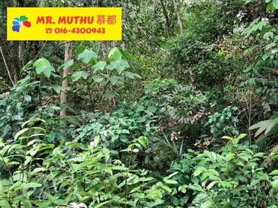 BEST CHOICE – 15 ACRES FREEHOLD LAND FOR SALE 漂亮的土地出售 – Tapah, Perak