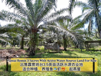 Pantai Remis 3.5Acres Agriculture Land For Sale/出售霹雳班台3.5英亩有水源路旁农业地