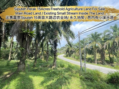 Siputeh Perak 15Acres Freehold Main Road Agriculture Land For Sale