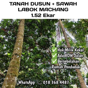 Tanah Dusun + SAWAH Labok Machang