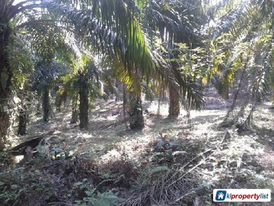 Agricultural Land for sale in Cheras
