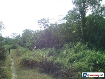 Agricultural Land for sale in Temerloh