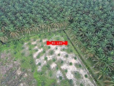 7.525 acre Agriculutural land for sale | Selama | Perak