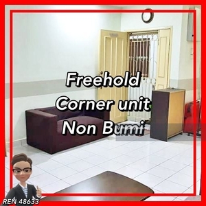 Freehold / Corner unit / Fully furnished /
