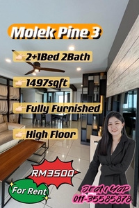 Molek Pine 3 2+1BR Fully Furnish High Floor