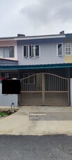 New Renovated Terrace House for Rent