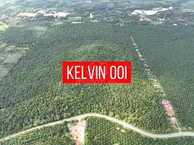 129.42acres AGRICULTURAL LAND SALE 5min TO KUALA KETIL TOWN MAIN ROAD