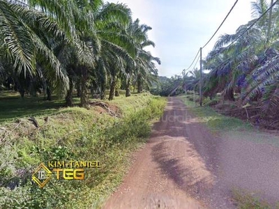 Amanjaya Sungai Petani Zoning Residential Land 590 acres Freehold Sale