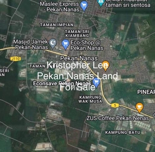 Beside Mainroad 10 acre Pekan Nanas Agriculture Land For Sale