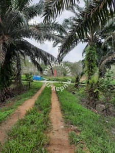 Main Road Jalan Mawai Kota Tinggi Johor Agricultural Land for Sale