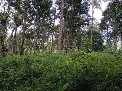 Tanah Dusun Durian Hulu Langat